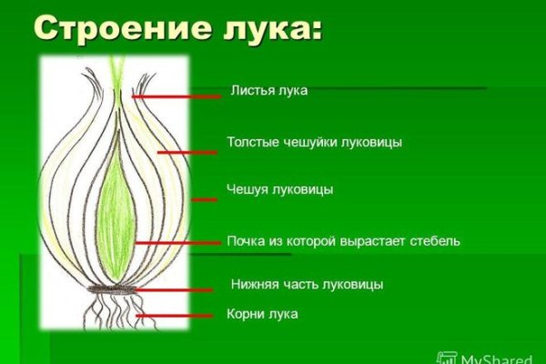 Пользователь не найден кракен что делать