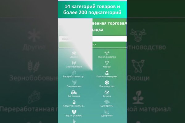 Darknet как войти