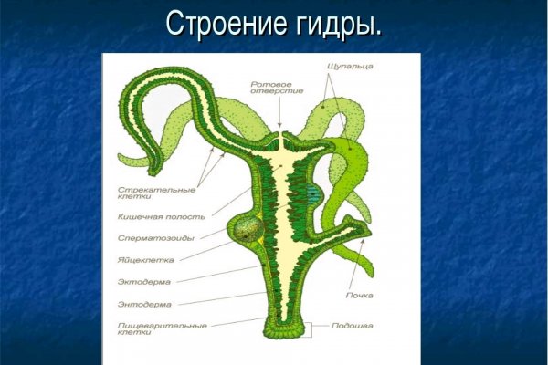 Кракен как зайти через тор браузер