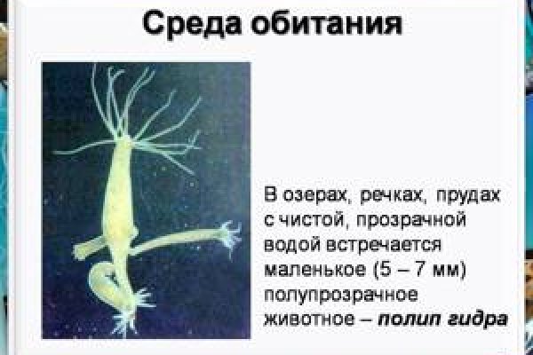 Проверенная ссылка кракен