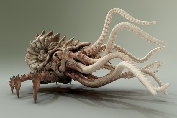 Kraken darknet marketplace
